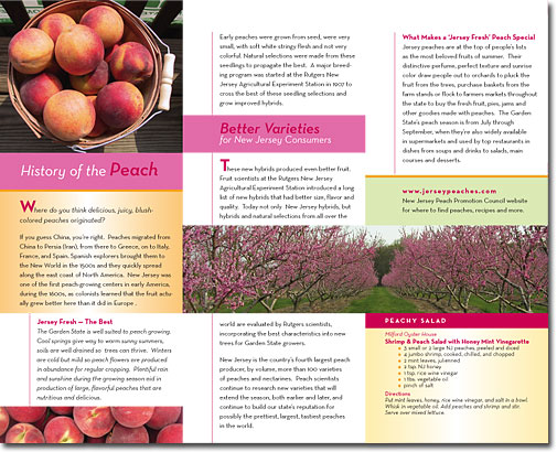 Peach Brochure Spread