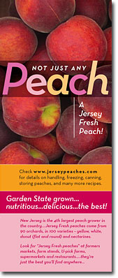 Peach Brochure Cover